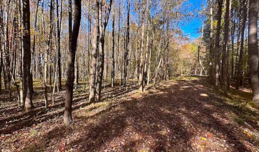 Photo #30 of Off Acres Hills Dr, Dewitt, VA 15.0 acres