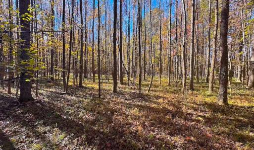 Photo #31 of Off Acres Hills Dr, Dewitt, VA 15.0 acres