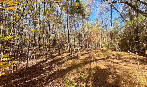 Photo #32 of Off Acres Hills Dr, Dewitt, VA 15.0 acres