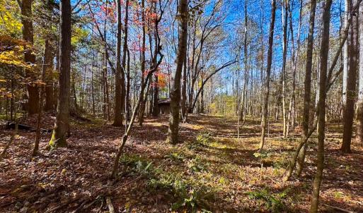 Photo #33 of Off Acres Hills Dr, Dewitt, VA 15.0 acres