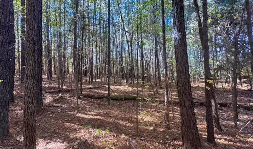 Photo #35 of Off Acres Hills Dr, Dewitt, VA 15.0 acres