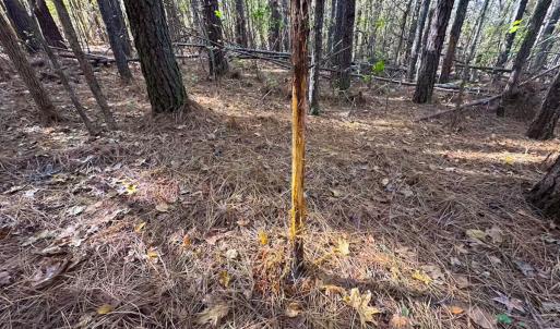 Photo #36 of Off Acres Hills Dr, Dewitt, VA 15.0 acres