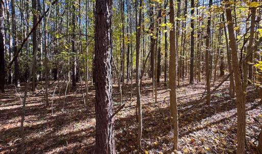Photo #38 of Off Acres Hills Dr, Dewitt, VA 15.0 acres