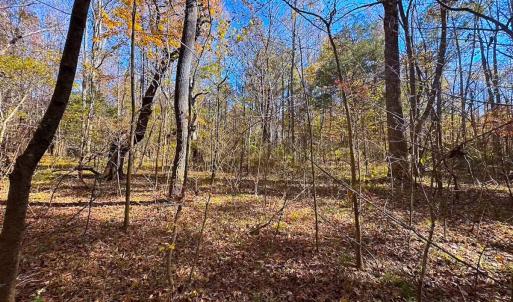 Photo #39 of Off Acres Hills Dr, Dewitt, VA 15.0 acres