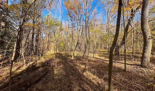 Photo #41 of Off Acres Hills Dr, Dewitt, VA 15.0 acres