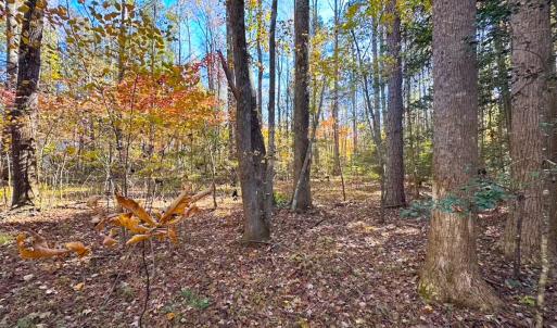 Photo #43 of Off Acres Hills Dr, Dewitt, VA 15.0 acres