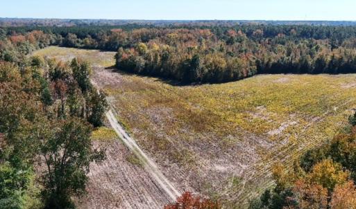 Photo #2 of Off Martin Luther King Jr Drive, Lumberton, NC 38.5 acres