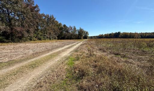 Photo #3 of Off Martin Luther King Jr Drive, Lumberton, NC 38.5 acres
