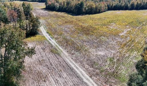 Photo #4 of Off Martin Luther King Jr Drive, Lumberton, NC 38.5 acres