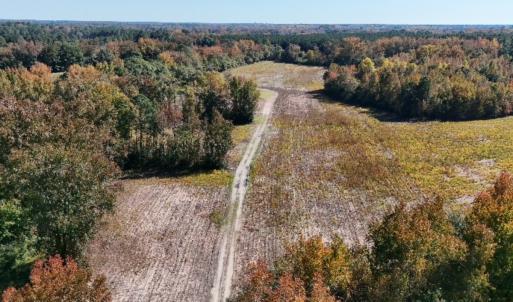 Photo #5 of Off Martin Luther King Jr Drive, Lumberton, NC 38.5 acres