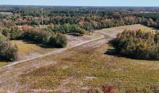 Photo #6 of Off Martin Luther King Jr Drive, Lumberton, NC 38.5 acres