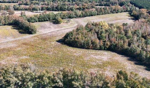 Photo #7 of Off Martin Luther King Jr Drive, Lumberton, NC 38.5 acres