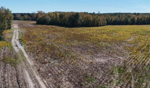 Photo #9 of Off Martin Luther King Jr Drive, Lumberton, NC 38.5 acres