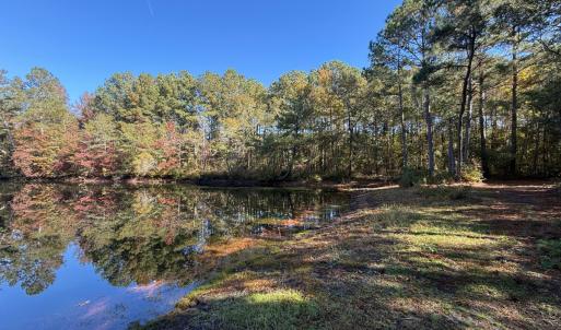 Photo #1 of Off W. Powersville Rd, Lumberton, NC 49.0 acres