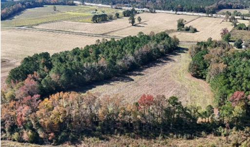 Photo #10 of Off W. Powersville Rd, Lumberton, NC 49.0 acres
