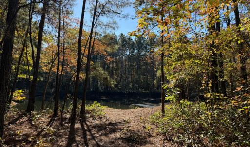 Photo #11 of Off W. Powersville Rd, Lumberton, NC 49.0 acres