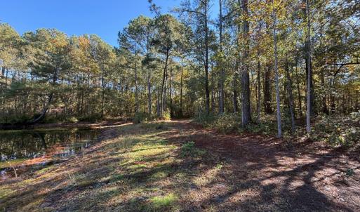 Photo #12 of Off W. Powersville Rd, Lumberton, NC 49.0 acres