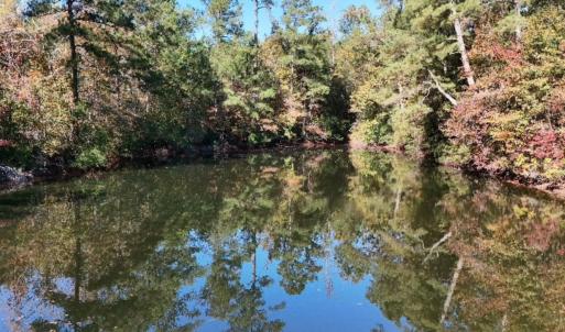 Photo #13 of Off W. Powersville Rd, Lumberton, NC 49.0 acres