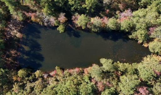 Photo #14 of Off W. Powersville Rd, Lumberton, NC 49.0 acres
