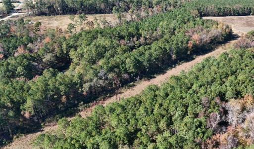 Photo #19 of Off W. Powersville Rd, Lumberton, NC 49.0 acres