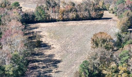 Photo #20 of Off W. Powersville Rd, Lumberton, NC 49.0 acres
