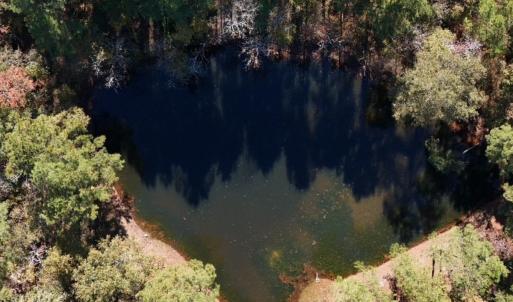 Photo #21 of Off W. Powersville Rd, Lumberton, NC 49.0 acres