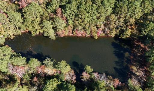 Photo #22 of Off W. Powersville Rd, Lumberton, NC 49.0 acres