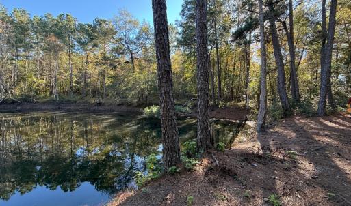 Photo #23 of Off W. Powersville Rd, Lumberton, NC 49.0 acres