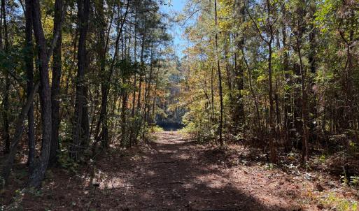 Photo #24 of Off W. Powersville Rd, Lumberton, NC 49.0 acres