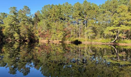 Photo #25 of Off W. Powersville Rd, Lumberton, NC 49.0 acres
