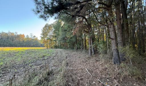Photo #27 of Off W. Powersville Rd, Lumberton, NC 49.0 acres