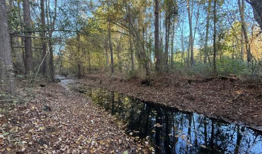 Photo #29 of Off W. Powersville Rd, Lumberton, NC 49.0 acres
