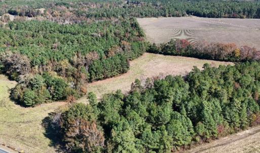 Photo #3 of Off W. Powersville Rd, Lumberton, NC 49.0 acres