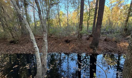 Photo #30 of Off W. Powersville Rd, Lumberton, NC 49.0 acres