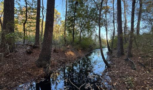 Photo #31 of Off W. Powersville Rd, Lumberton, NC 49.0 acres
