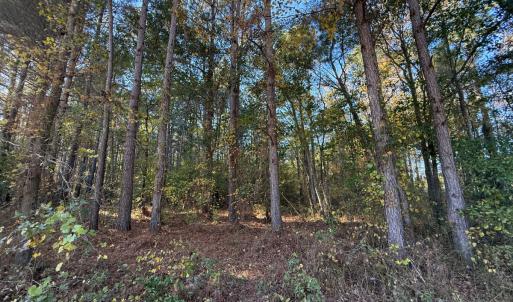 Photo #32 of Off W. Powersville Rd, Lumberton, NC 49.0 acres