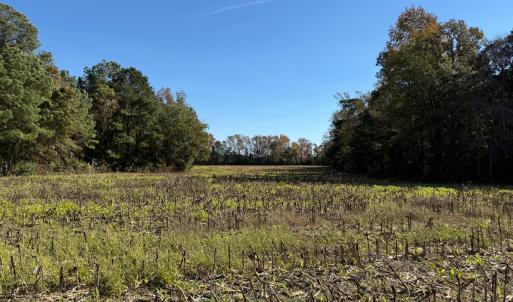 Photo #33 of Off W. Powersville Rd, Lumberton, NC 49.0 acres