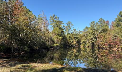 Photo #34 of Off W. Powersville Rd, Lumberton, NC 49.0 acres