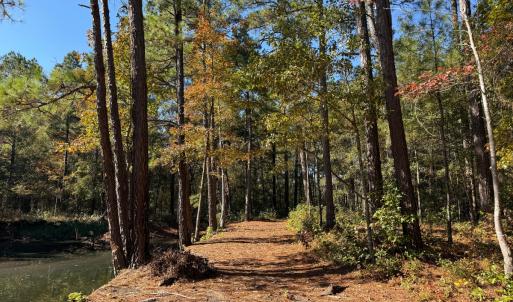 Photo #35 of Off W. Powersville Rd, Lumberton, NC 49.0 acres