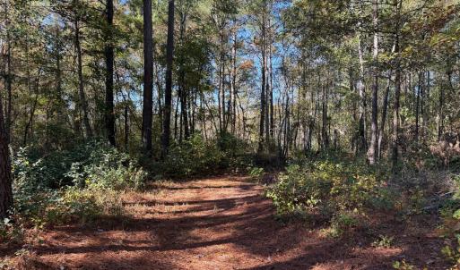 Photo #36 of Off W. Powersville Rd, Lumberton, NC 49.0 acres