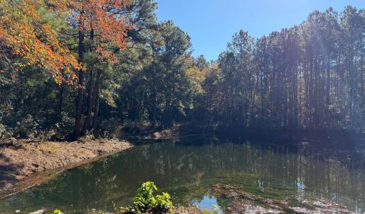 Photo #37 of Off W. Powersville Rd, Lumberton, NC 49.0 acres
