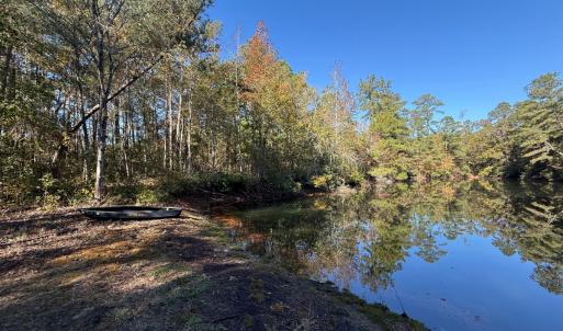 Photo #38 of Off W. Powersville Rd, Lumberton, NC 49.0 acres