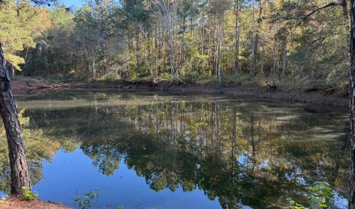 Photo #39 of Off W. Powersville Rd, Lumberton, NC 49.0 acres