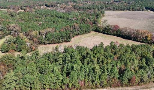 Photo #4 of Off W. Powersville Rd, Lumberton, NC 49.0 acres