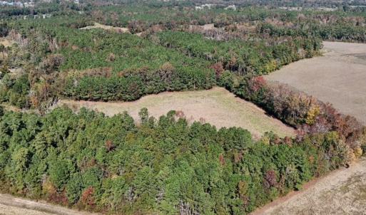 Photo #5 of Off W. Powersville Rd, Lumberton, NC 49.0 acres