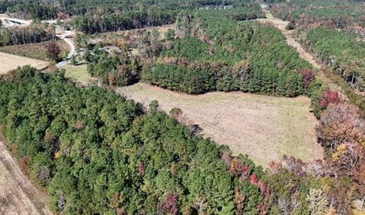 Photo #7 of Off W. Powersville Rd, Lumberton, NC 49.0 acres