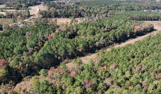 Photo #9 of Off W. Powersville Rd, Lumberton, NC 49.0 acres