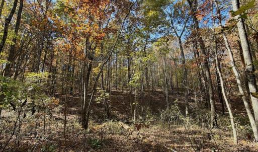 Photo #13 of Off Slatesville Road, Keeling, VA 40.0 acres