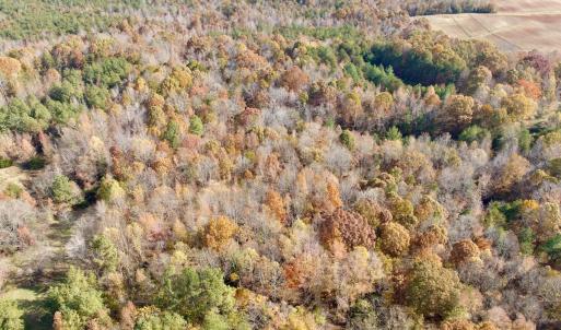 Photo #2 of Off Slatesville Road, Keeling, VA 40.0 acres