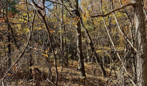 Photo #22 of Off Slatesville Road, Keeling, VA 40.0 acres
